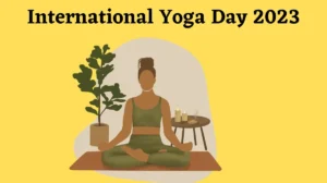 Read more about the article International Yoga Day 2023: Embracing Wellness and Unity Through Yoga