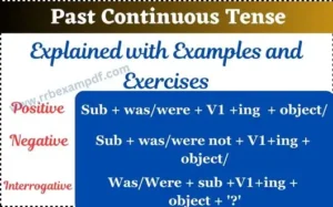 Read more about the article Past Continuous Tense with examples