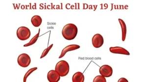 Read more about the article World Sickle Cell Day: Understanding the Disease and Spreading Awareness