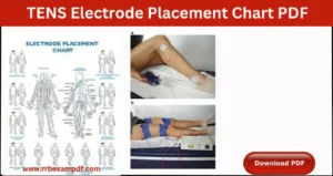 Read more about the article TENS Electrode Placement Chart PDF